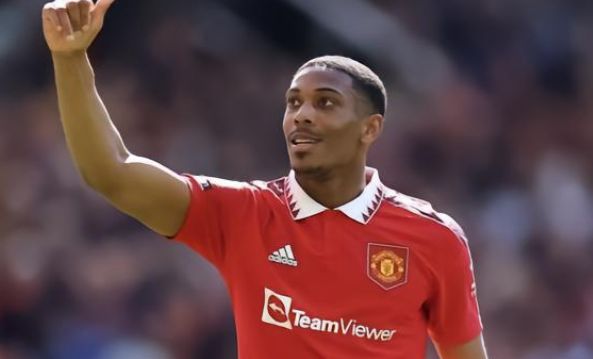 仅展现了他 仅展现了他