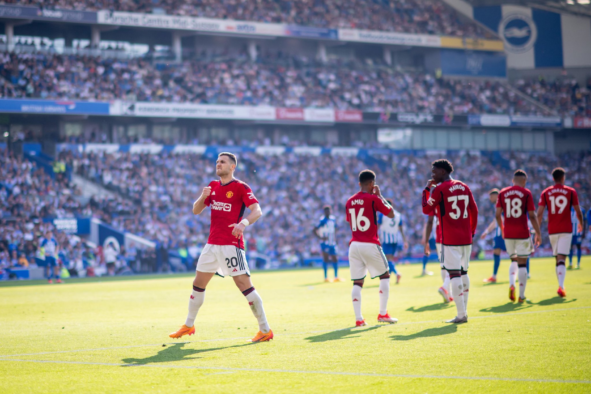 他们展示了 他们展示了